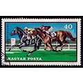 Hungary 1971 Horse Sports 40f Used Stamp