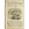 1839 The Penny Magazine No. 481 Sir Philip Sidn...