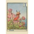Thrift Flower Fairy From 1930s Fairies Alphabet...