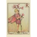 Ragged Robin Fairy from Flower Fairies 1930s Bo...