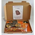 GUINEA PIG BIRTHDAY BOX DECORATED BOX WITH TRAC...