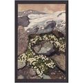 FLOWERS POST CARDS - ANDROSACE HELVETICA - NICE...