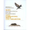 Why starlings pick flowers and vibrating mice are smarter