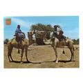 CAMELS AND RIDERS , MOROCCO unused vintage post...
