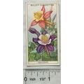 1933 Wills Garden Flowers No. 4 Aquilegias