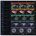 Deep Sea Creatures Complete Sheet of Fifteen 33...
