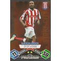 Match Attax 2009/10 Collection: I-Card, Stoke C...