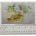 vintage Greetings postcard - Cottage on Coast