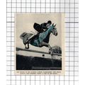 Miss Wendy Magnay Horse Jumping - 1950 SMALL Cu...