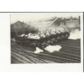 Railway SWINDON SHED King Class 4-6-0's Postcar...
