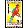 Mongolia 1990 Parrots 40M Used Stamp