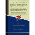 A Practical Treatise on Soluble or Water Glass,...