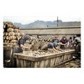 ptc3613 - Yorks - Fisher Girls prepare Fish for...