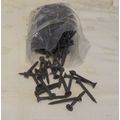 250 x 3.5 x 38mm Phillips Dry Wall Screws