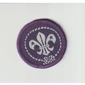 Scout Membership Badge - Non UK?? - Black Back ...