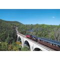 10155: Le Train à Vapeur des Cévennes.