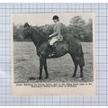 (5401) Deirdre Robinson on Horse Gretna Green M...