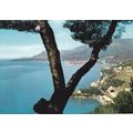 Grimaldi di Ventimiglia France Postcard posted ...