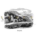 Steephill, Isle Of Wight, England, 1840, MODERN...