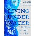 The Calvin Institute of Christian Worship Liturgical Studies (Cicw): Living Unde