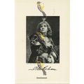 Ada Rehan, Actress, Book Illustration (Print), ...