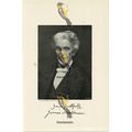 Rev. Dr. Martineau, Theologian, Book Illustrati...