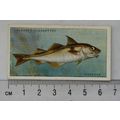 1935 Players Sea Fishes No. 18 Haddock