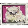 FUJEIRA, CAT, Domestic Persian, violet 1970, 70dh