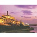 Old Jaffa Israel Sound & Light Show Postcard