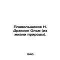 Smelters N. Dragon Olm (from the life of nature...