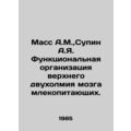 Mass A.M., Supin A.I. Functional organization of the upper bihilm of the mamma