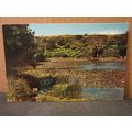 BOSHERSTON, LILY POOLS, Wales.. unused postcard...