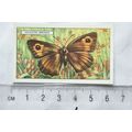 1938 Gallaher's Butterflies & Moths No. 40 Mead...