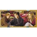 Panini's Harry Potter CONTACT (2019) Trading Ca...