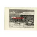 Mountaineers (Animals) Seeking Shelter From Sno...