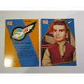 24. Virgil the Artist - Thunderbirds IR 1992 PR...