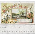 1908 postcard A Birthday Wish