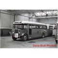 Bus Photo Eastern Scottish AEC Regal FFS191 BER...