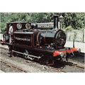 Railway Postcard LB&SCR Terrier Fenchurch SHEFF...