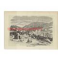Valley of Eshcol, Palestine, Book Illustration ...