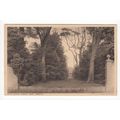 Guy's Cliff Avenue near Warwick JJ Ward Postcar...
