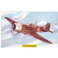 Artist Drawn Curtiss Hawk Military Aircraft Pos...