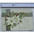 Vintage: Birthday card - lillies, J. F. Schippe...