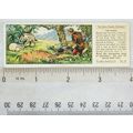 1935 Typhoo Swiss Family Robinson No. 21 The Hyena