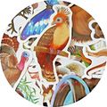 25 Wildlife Stickers Loose Random Selection Fun...