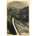 Whinlatter Pass, Buttermere, Cumbria, Rare RP P...