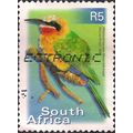 SOUTH AFRICA, BIRDS, Whitefronted Bee-Eater, bl...