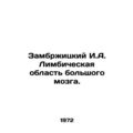 Zambrzycki I.A. Limbic region of the big brain....