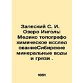 Zalesky S. I. Lake Ingol: Medical topography ch...