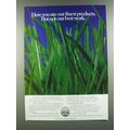 1986 Northrop King Medalist Turf Products Ad - ...